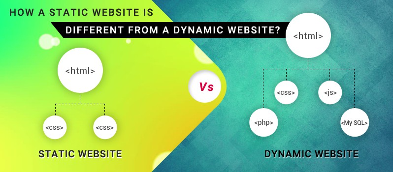 dynamic and static website examples