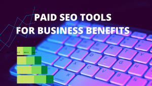 why businesses invest in SEO tools