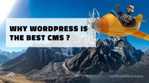WordPress-is-the-Best-CMS