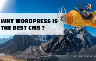 WordPress-is-the-Best-CMS