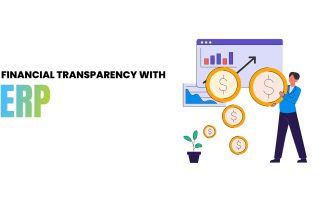 Financial transparency with ERP
